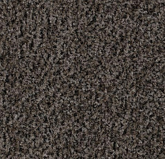 Грязезащитные покрытия Forbo Coral Brush 5714 Shark Grey фото 1 | FLOORDEALER